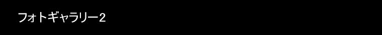 tHgM[2